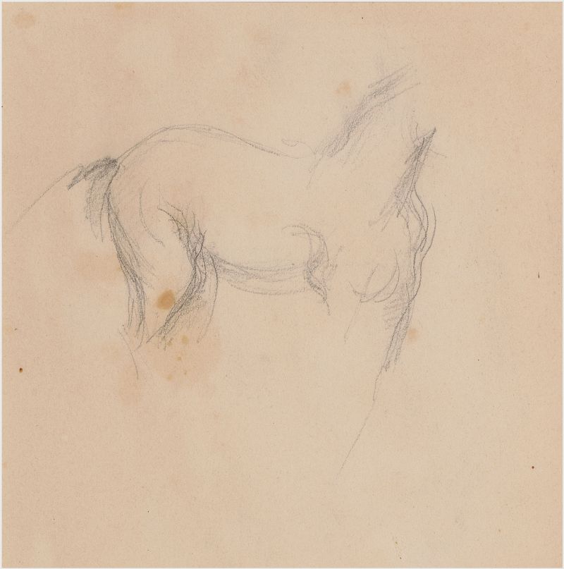 Esquisse de cheval (detail), n.d. (3018-41a-TA)